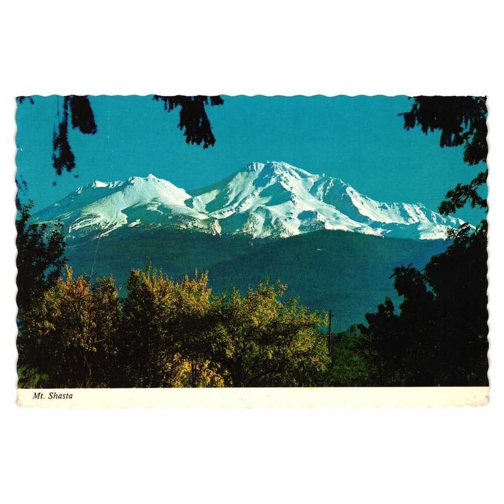 Vintage Postcard Mt Shasta California Snow Capped Mountain View 70s Travel